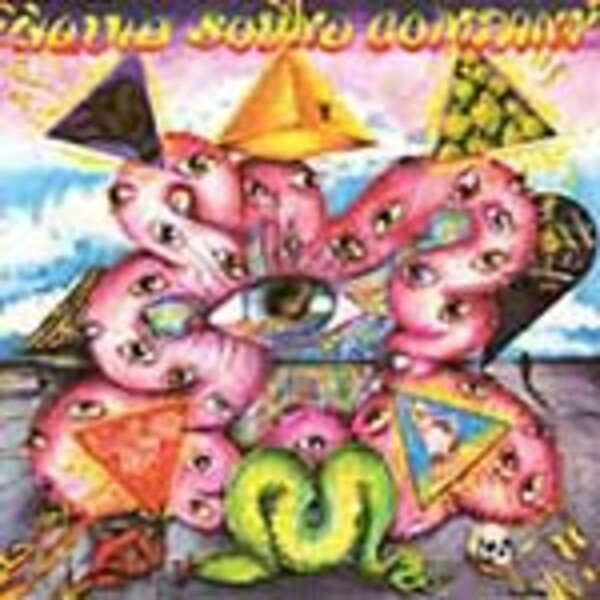 LIQUID SOUND COMPANY, exploring the psychedelic LIQUID SOUND COMPANY, exploring the psychedelic cover