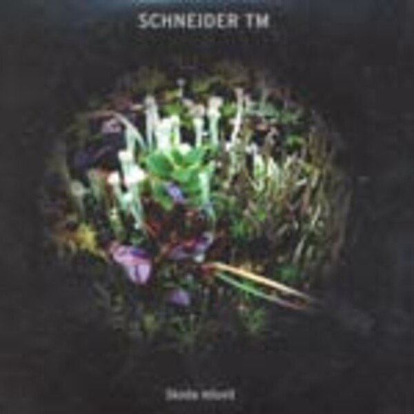 SCHNEIDER TM, skoda mluvit SCHNEIDER TM, skoda mluvit cover