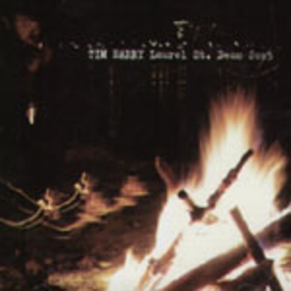 TIM BARRY, laurel street demo TIM BARRY, laurel street demo cover