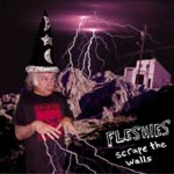 FLESHIES, scrape the walls FLESHIES, scrape the walls cover