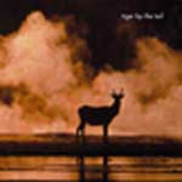 TIGER BY TAIL, s/t TIGER BY TAIL, s/t cover