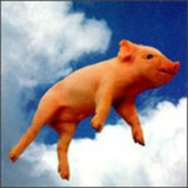 DIDJITS, que sirhan sirhan DIDJITS, que sirhan sirhan cover