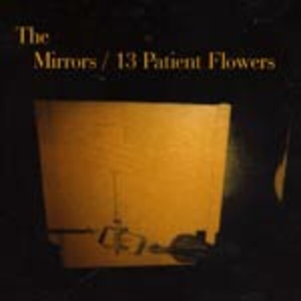MIRRORS, 13 patient flower MIRRORS, 13 patient flower cover
