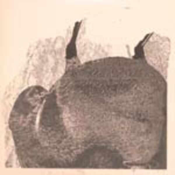 SVARTE GREINER, knive SVARTE GREINER, knive cover