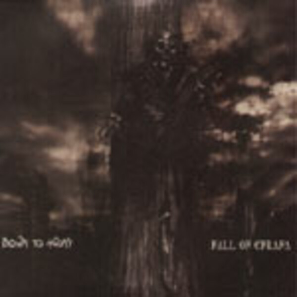 DOWN TO AGONY / FALL OF EFRAFA DOWN TO AGONY / FALL OF EFRAFA cover