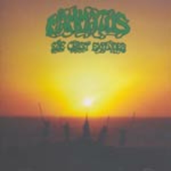 MAMMATUS, coast explodes MAMMATUS, coast explodes cover