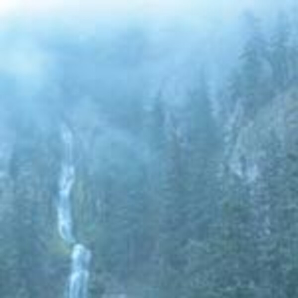 WOLVES IN THE THRONE ROOM, diadem of 12 stars WOLVES IN THE THRONE ROOM, diadem of 12 stars cover