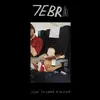 7EBRA – how to land a plane (CD, LP Vinyl)