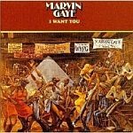 MARVIN GAYE, i want you MARVIN GAYE, i want you cover