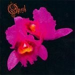 OPETH, orchid cover