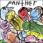 PANTHER, birds PANTHER, birds cover