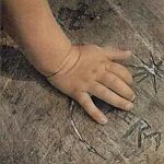 AERA, hand und fuss AERA, hand und fuss cover