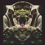 MIDLAKE, courage of others MIDLAKE, courage of others cover