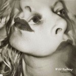 WILD NOTHING, gemini WILD NOTHING, gemini cover