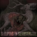 SLEEPING IN GETHSEMANE, burrows SLEEPING IN GETHSEMANE, burrows cover