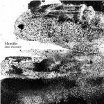 MAMIFFER, mare decendrii MAMIFFER, mare decendrii cover