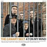 CANARY SECT, 47 on my mind CANARY SECT, 47 on my mind cover