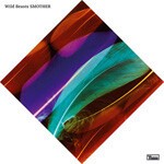 WILD BEASTS, smother WILD BEASTS, smother cover