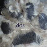 DOS, dos y dos DOS, dos y dos cover
