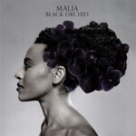 MALIA, black orchid MALIA, black orchid cover