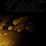COBALT, eaters of bird COBALT, eaters of bird cover