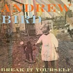 ANDREW BIRD, break it yourself ANDREW BIRD, break it yourself cover