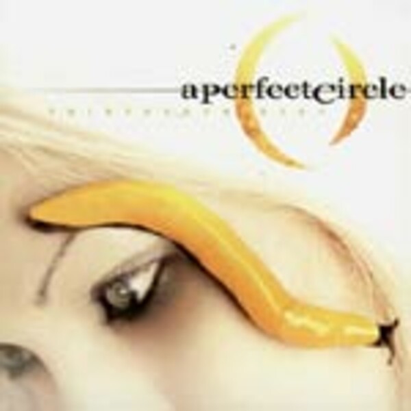 A PERFECT CIRCLE – thirteenth step (CD, LP Vinyl)