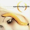 A PERFECT CIRCLE – thirteenth step (CD, LP Vinyl)