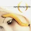 A PERFECT CIRCLE – thirteenth step (CD, LP Vinyl)