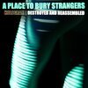 A PLACE TO BURY STRANGERS – hologram - destroyed & reassembled BF21 (LP Vinyl)