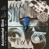 ACCIDENTAL BIRD – the old news shrug (CD, LP Vinyl)
