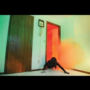 Cover ADULT., becoming undone