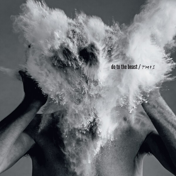 AFGHAN WHIGS – do to the beast (CD, LP Vinyl)