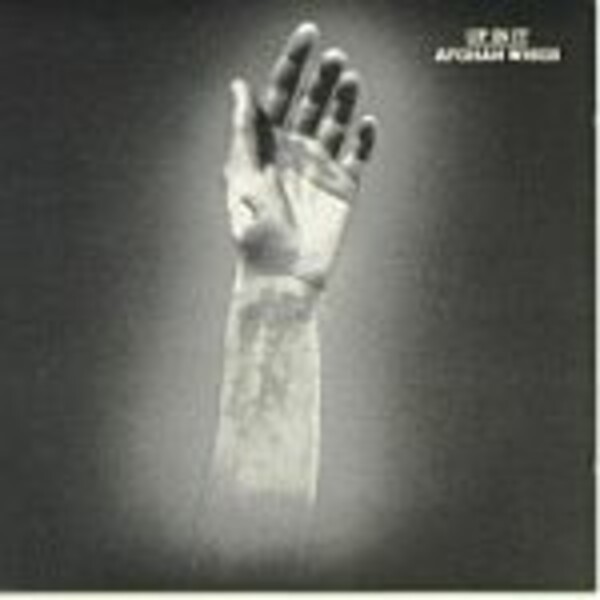 AFGHAN WHIGS – up in it (CD, LP Vinyl)