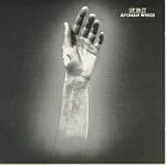 AFGHAN WHIGS – up in it (CD)