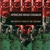 AFRICAN HEAD CHARGE – my life in a hole in the ground (LP Vinyl)
