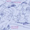 AGNES STRANGE – strange flavour (LP Vinyl)