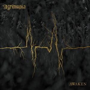 AGRIMONIA – awaken (LP Vinyl)