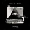 ALICE IN CHAINS – rainier fog (CD)