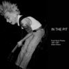 ALISON BRAUN – in the pit (punk rock fotos 1981-1991) (Papier)