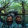 ALPHAWHORES – you can come out now (LP Vinyl)