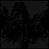 AMENRA – mass II (2) (LP Vinyl)