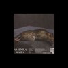 AMENRA – mass vi (LP Vinyl)