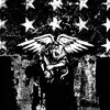 AMERICAN NIGHTMARE – year one (LP Vinyl)