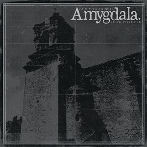 Cover AMYGDALA, our voices will soar forever