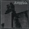 AMYGDALA – our voices will soar forever (CD, LP Vinyl)
