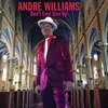 ANDRE WILLIAMS – don´t ever give up (CD, LP Vinyl)