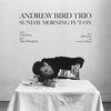 ANDREW BIRD TRIO – sunday morning put-on (CD, LP Vinyl)