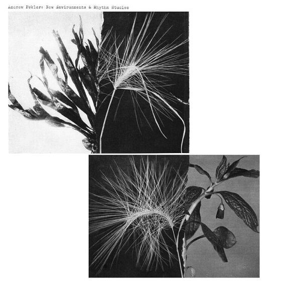 ANDREW PEKLER – new environments & rhythm studies (LP Vinyl)