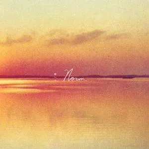 ANDY SHAUF – norm (LP Vinyl)